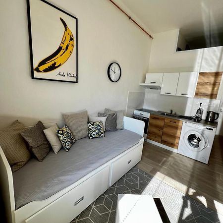 צ'סקה בודיוביצה Apartman Zlata Hvezda מראה חיצוני תמונה